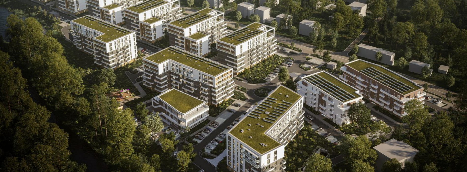 Park Paderewskiego: druga strona historii. Kiedy oskarżenia przesłaniają prawdę