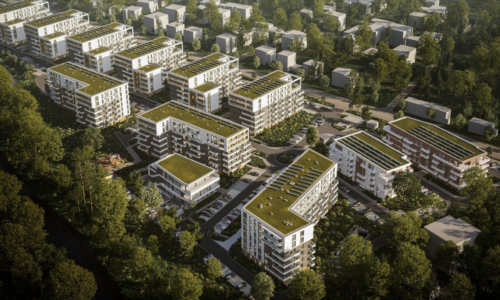 Park Paderewskiego: druga strona historii. Kiedy oskarżenia przesłaniają prawdę