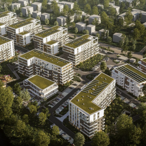 Park Paderewskiego: druga strona historii. Kiedy oskarżenia przesłaniają prawdę